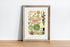 Wood Framed Great Barrier Reef Anemones Vintage Illustrations Wall Art Prints